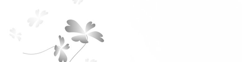 BIGLOBE WiMAX +5G情報サイト